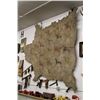 Image 34 : Northern Cheyenne Pictorial Painted Buffalo Robe