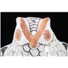 Image 5 : Acoma Polychrome Pottery Owl Figure Effigy c. 1900