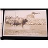 Image 10 : Ralph Doubleday Rodeo Real Photo Postcards (10)