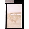 Image 3 : Ralph Doubleday Rodeo Real Photo Postcards (10)