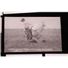 Image 9 : Ralph Doubleday Rodeo Real Photo Postcards (10)