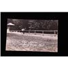 Image 17 : Early Rodeo Cowboy Real Photograph Postcards (43)