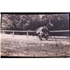 Image 20 : Early Rodeo Cowboy Real Photograph Postcards (43)