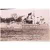 Image 21 : Early Rodeo Cowboy Real Photograph Postcards (43)
