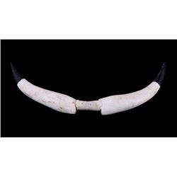 Cheyenne Polychrome Ceremonial Dance Wand C.1900