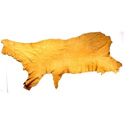 Montana Moose Tanned Hide