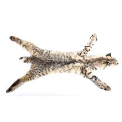 Montana Bobcat Fur Hide