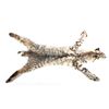 Image 1 : Montana Bobcat Fur Hide