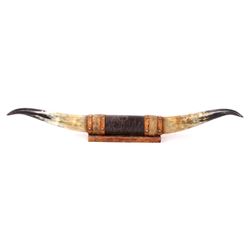 Set of Mounted Steer Horns On Wooden Plaque