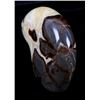 Image 6 : Bear & Buffalo Septarian Nodule Carvings
