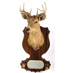 1942 Taxidermy Deer Mount with Hoof Rack & Mirror