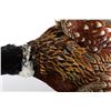 Image 7 : Montana Flying Pheasant Mount