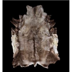 Professionally Tanned Caribou Hide