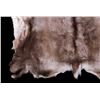Image 7 : Professionally Tanned Caribou Hide