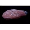 Image 11 : Roman Byzantine Oil Lamps C. 4th-6th Century A.D.