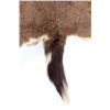 Image 11 : Plains Indian Tanned Deer Hide Vest