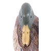 Image 4 : "Smokey Ott" Hand Carved Preening Mallard Decoy