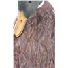 Image 5 : "Smokey Ott" Hand Carved Preening Mallard Decoy