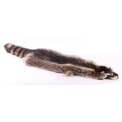Large Montana Raccoon Fur Hide