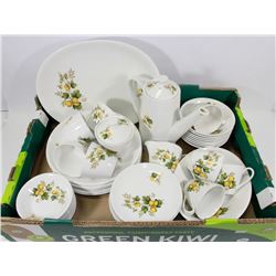 SNOW-WHITE PATTERN DINNER DISHES BY JOHNSON BRO.