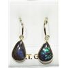 Image 1 : 25) 14K YELLOW GOLD AMMOLITE EARRINGS