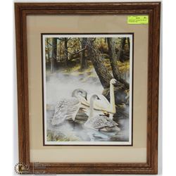 "RISING MIST TRUMPETER SWANS" BY HERBERT PIKL