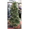 6FT BLUE SPRUCE CHRISTMAS TREE /W STAND AND REMOTE