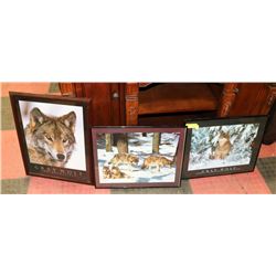 LOT OF 3 WOLF PICTURES