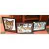 Image 1 : LOT OF 3 WOLF PICTURES