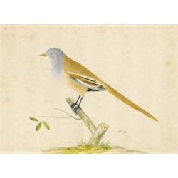 PIETER HOLSTEIJN DER ÄLTERE Haarlem 1580/90 - 1662 (?)