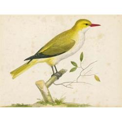 PIETER HOLSTEIJN DER ÄLTERE Haarlem 1580/90 - 1662 (?)