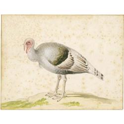 PIETER HOLSTEIJN DER ÄLTERE Haarlem 1580/90 - 1662 (?)