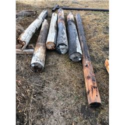 6 wooden power poles various sizes