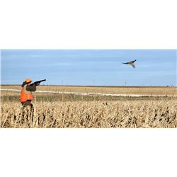 3 Pheasant youth/Mentor Hunt