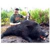 Image 1 : Wild Hog Hunt (With the Optional Use of Bay Dogs) for 4 Hunters