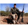 Image 1 : Big Game Hunt in Argentina for 2 Hunters