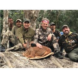Balam Outfitters 7 Day Mexican Campeche 3 species Jungle Hunt for Two Hunters