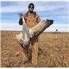 Image 1 : Sandhill Crane Hunt in Texas for 2 Hunters