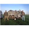 Image 2 : Sandhill Crane Hunt in Texas for 2 Hunters