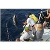 Image 3 : Belize Fishing and Diving for 2