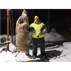 Trophy Boar Hunt in Michigan’s Upper Peninsula