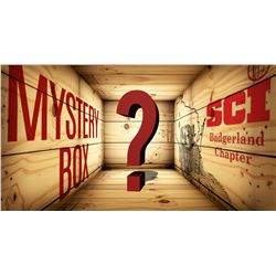 ???Mystery Box???
