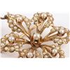 Image 4 : An Edwardian 14K Gold & Seed Pearl Brooch