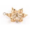 Image 5 : An Edwardian 14K Gold & Seed Pearl Brooch