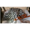 Image 1 : CHAIN AND CINCHE