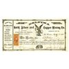 Image 1 : Delfina Gold, Silver and Copper Mining Co., 1863 Stock Certificate.