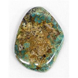 Baja Calif. Evans Mine Turquoise Cabachon