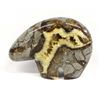 Image 2 : Sculpted Septarian Nodule Bear