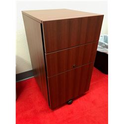 ROLLING STORAGE/FILE CABINET