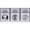 Image 1 : 2006 W 20th Anniversary Silver American Eagle Dollar Set NGC MS69/PF69/PF69